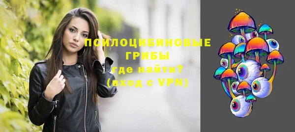 стаф Мегион