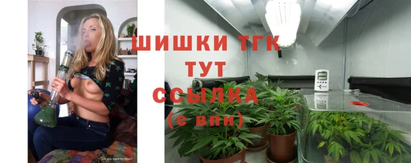 стаф Мегион